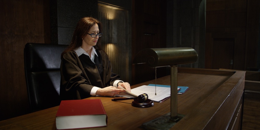 What are the Types of Pleas in a Criminal Law Case?