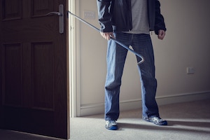 theft defense