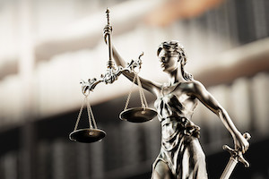 murder defense