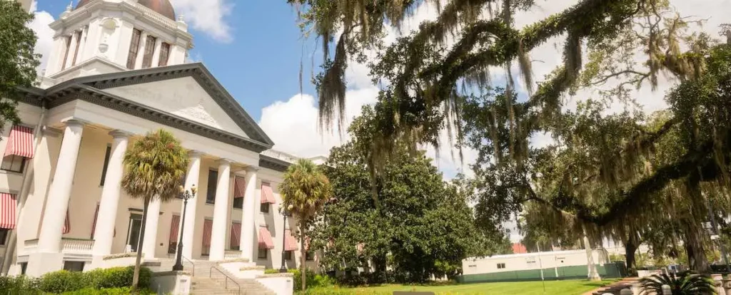 Differences-Between-State-and-Federal-Criminal-Cases